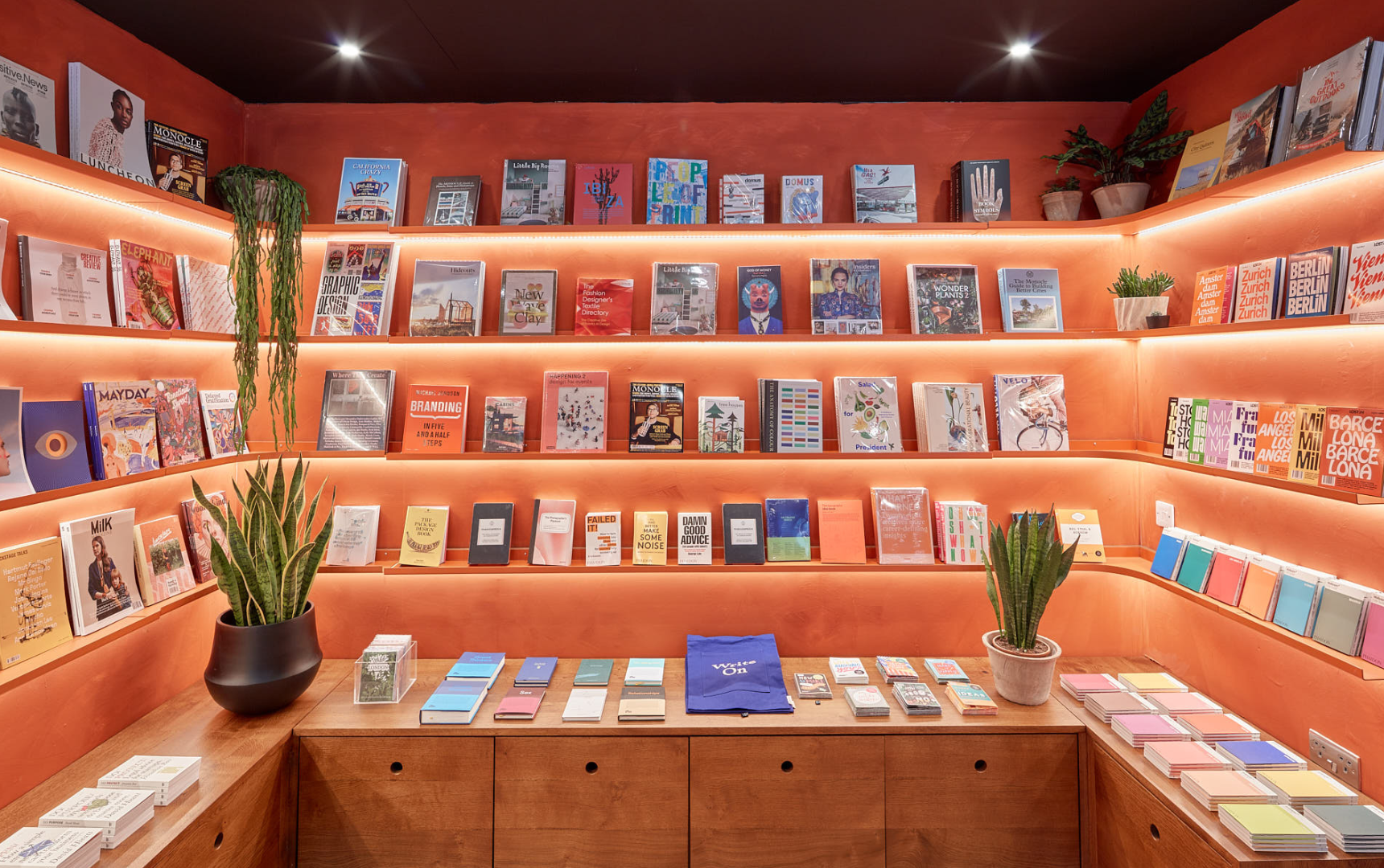 The Book Lovers Day Library