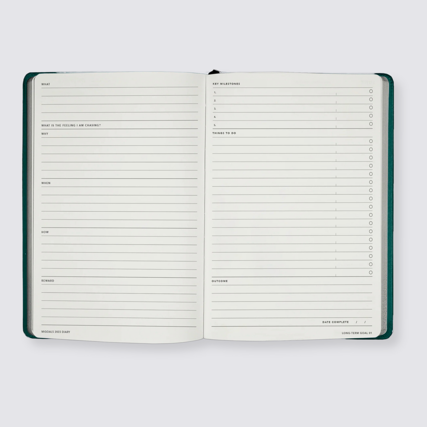 Weekly view diary 2024