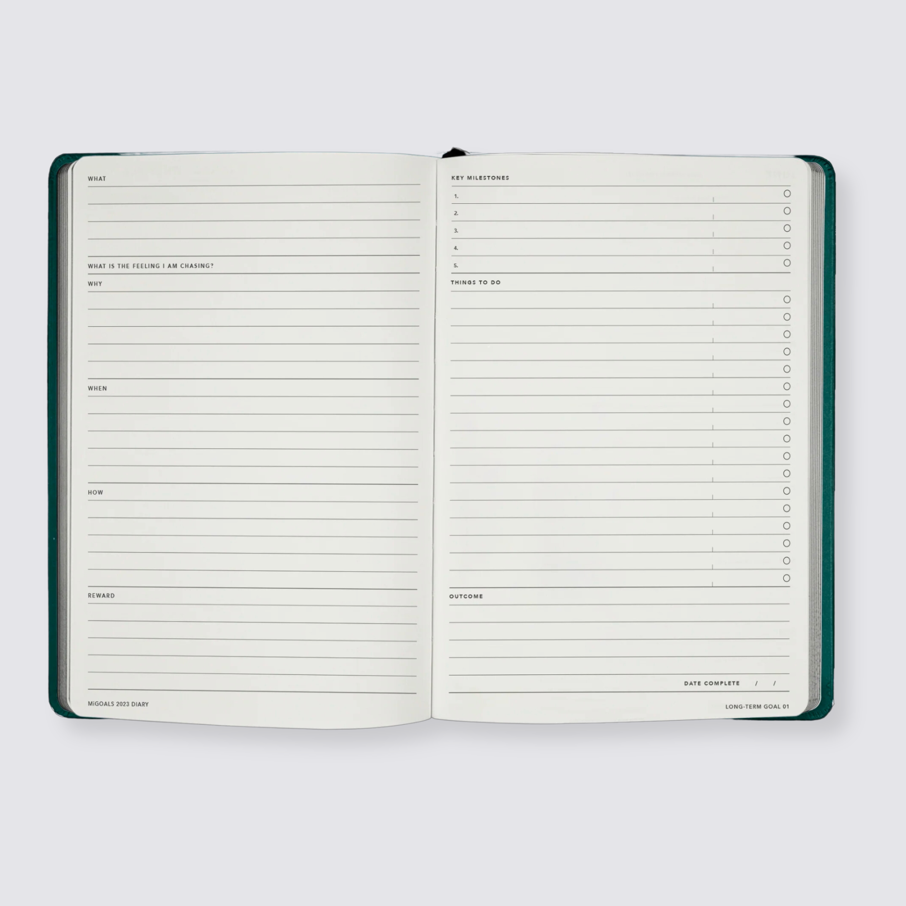 weekly diary 2024