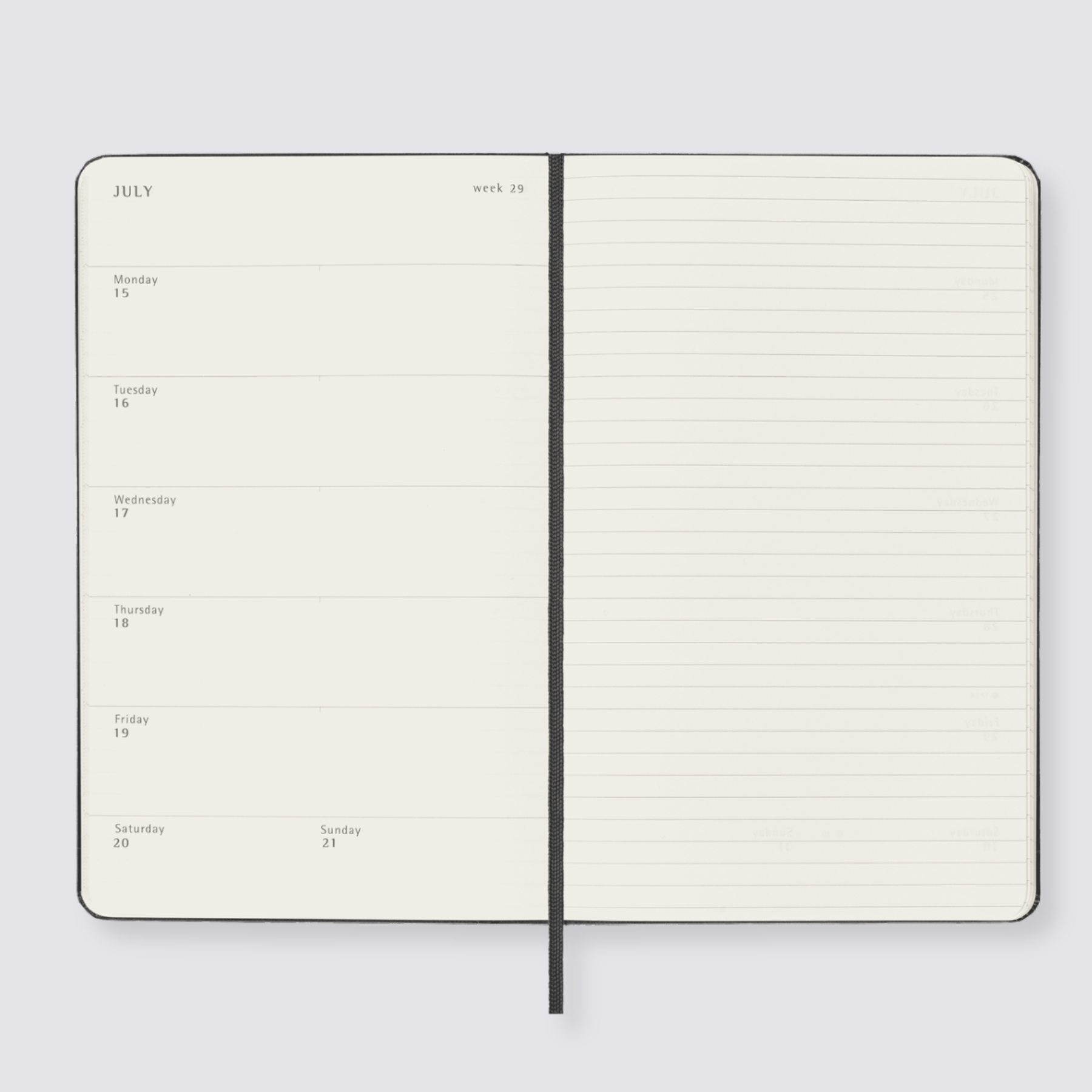 Large 2024 weekly view diary