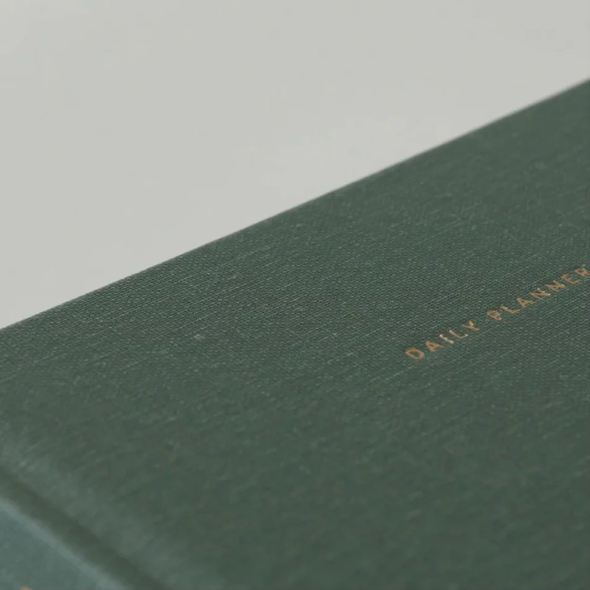 2025 Daily Planner - Fern Green