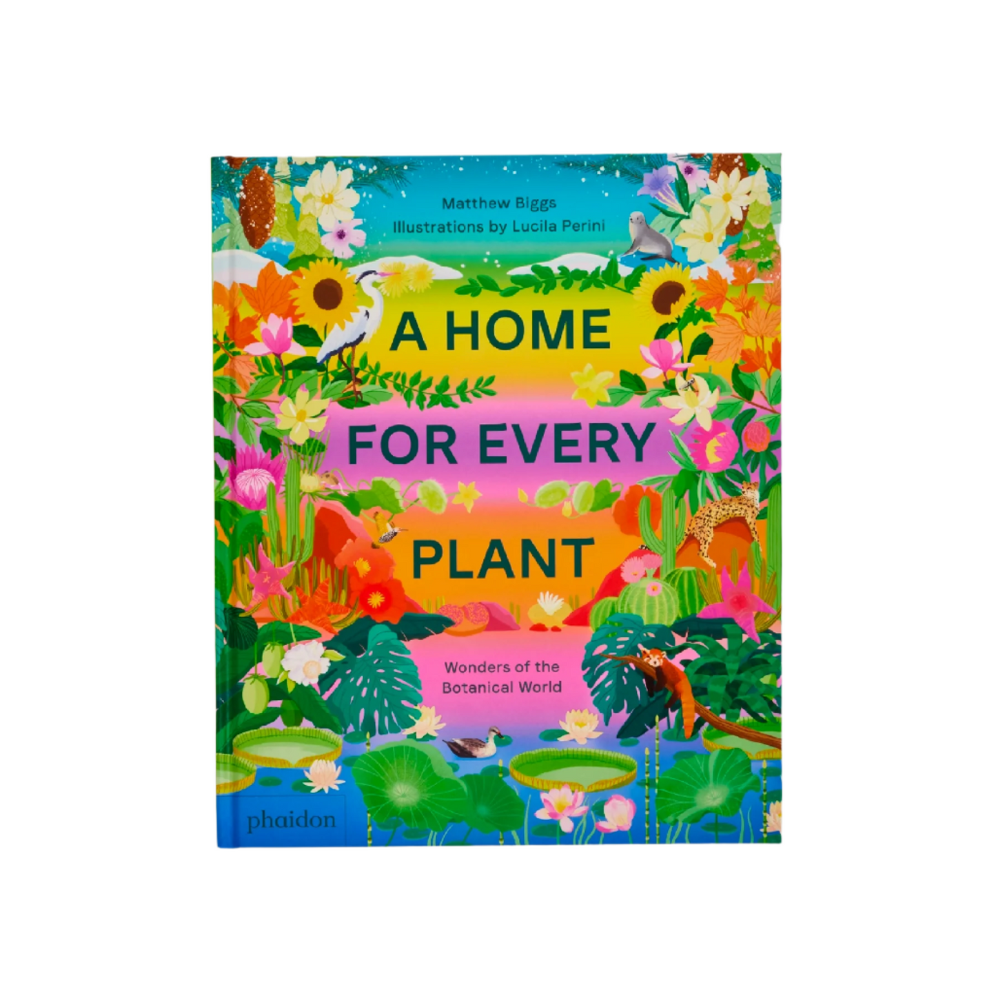 A Home for Every Plant Kids Book