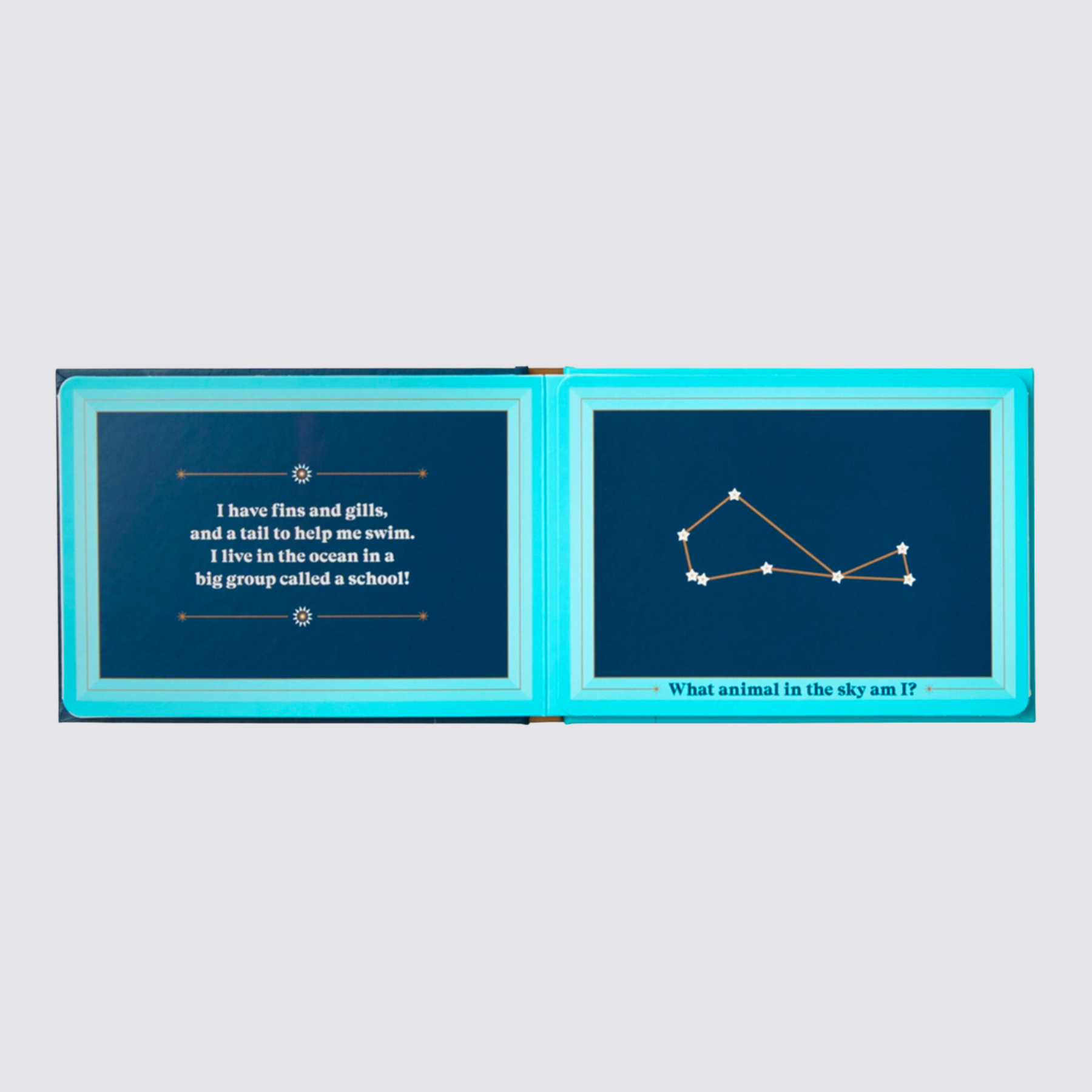 stars book for kids