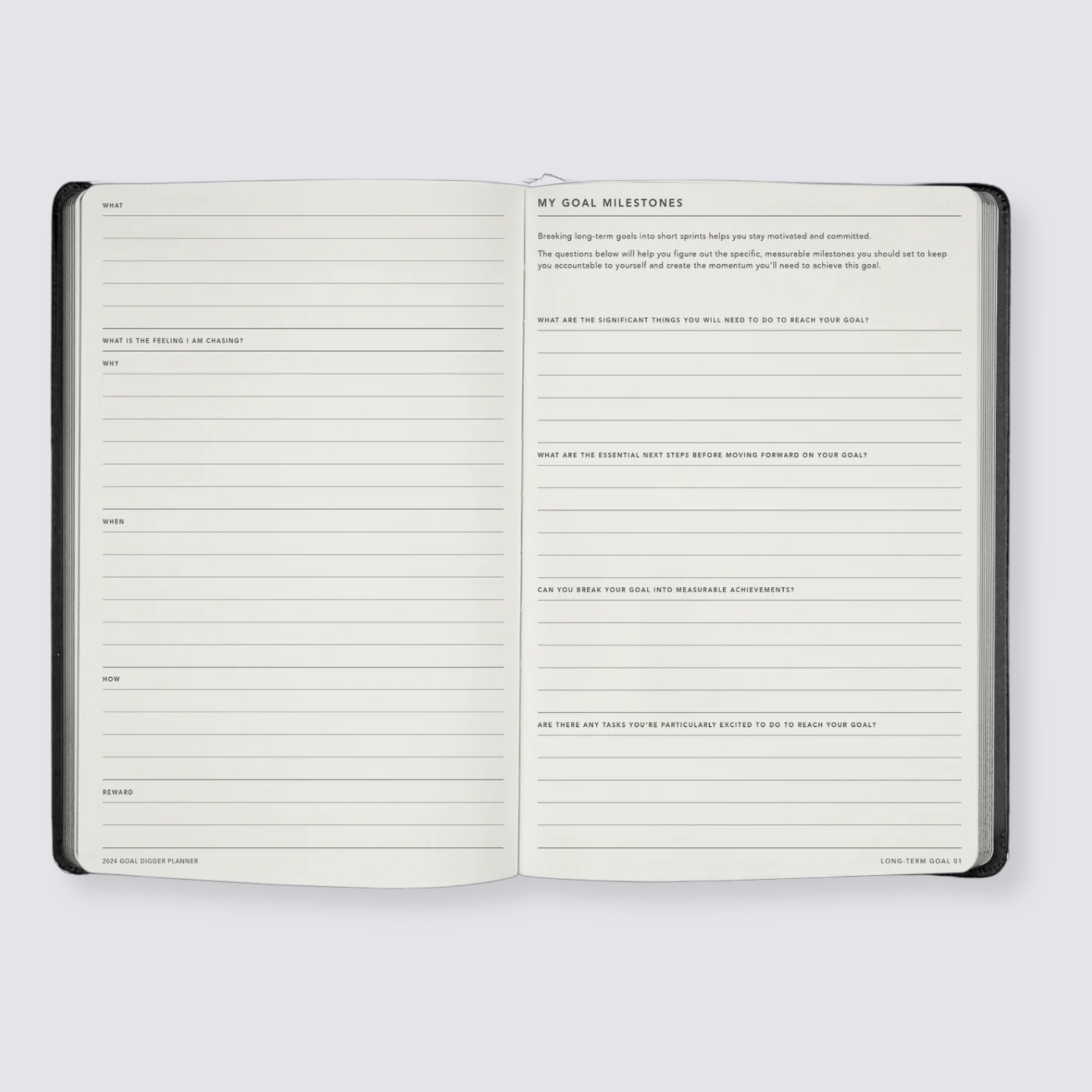 2024 weekly goal planner diary