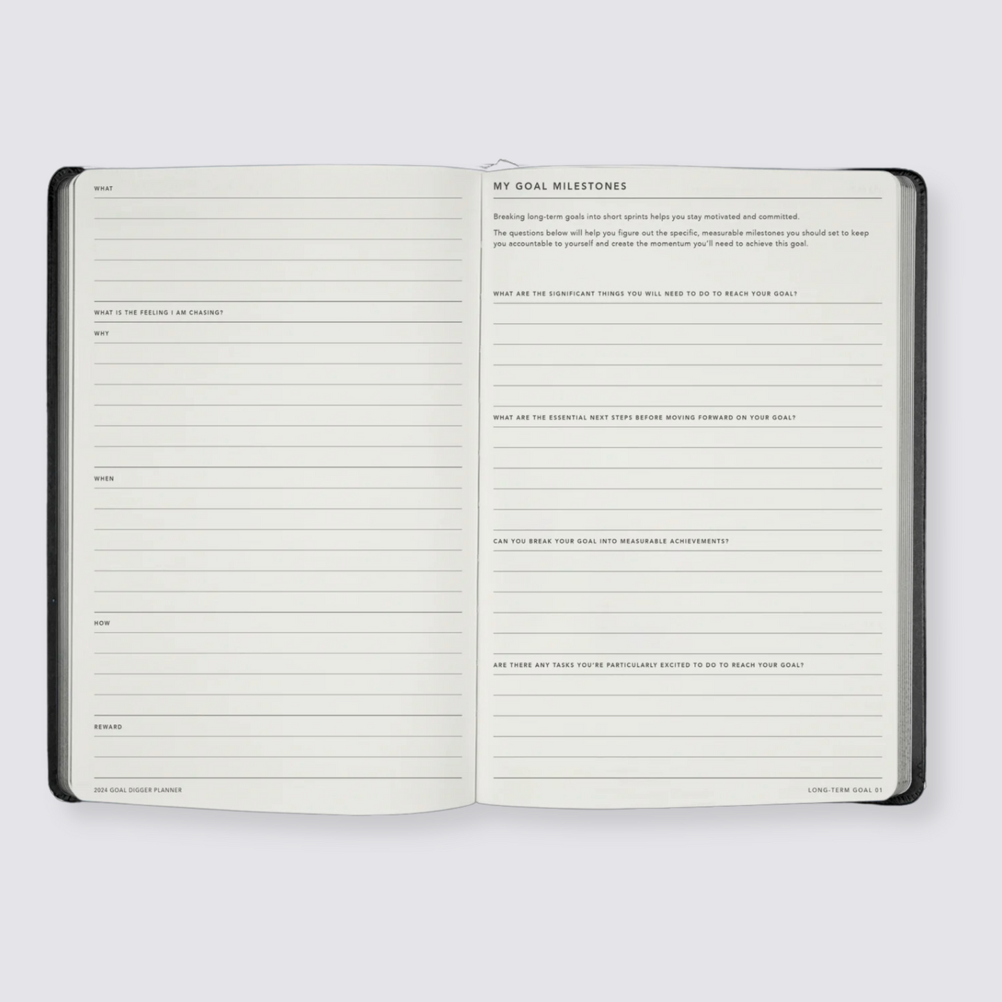 2024 weekly goal planner diary