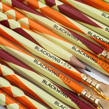 Blackwing - Expressions Set of 12