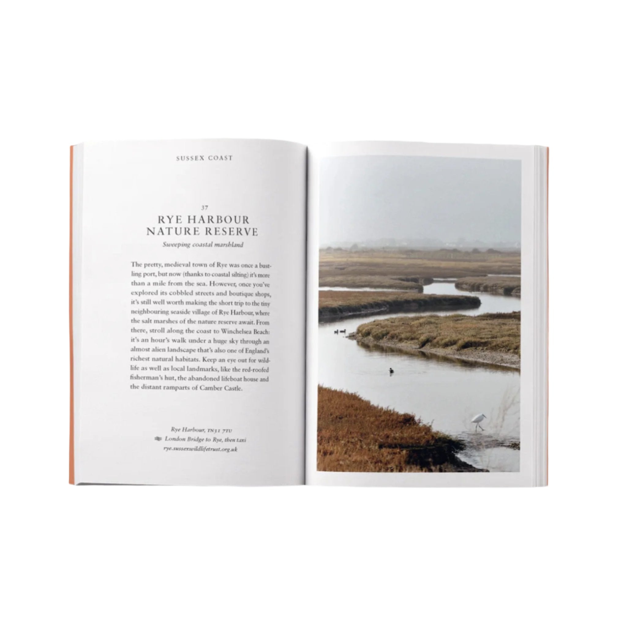 Page About Rye Harbour Nature Reserve