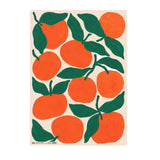 orange tangerines wrapping paper