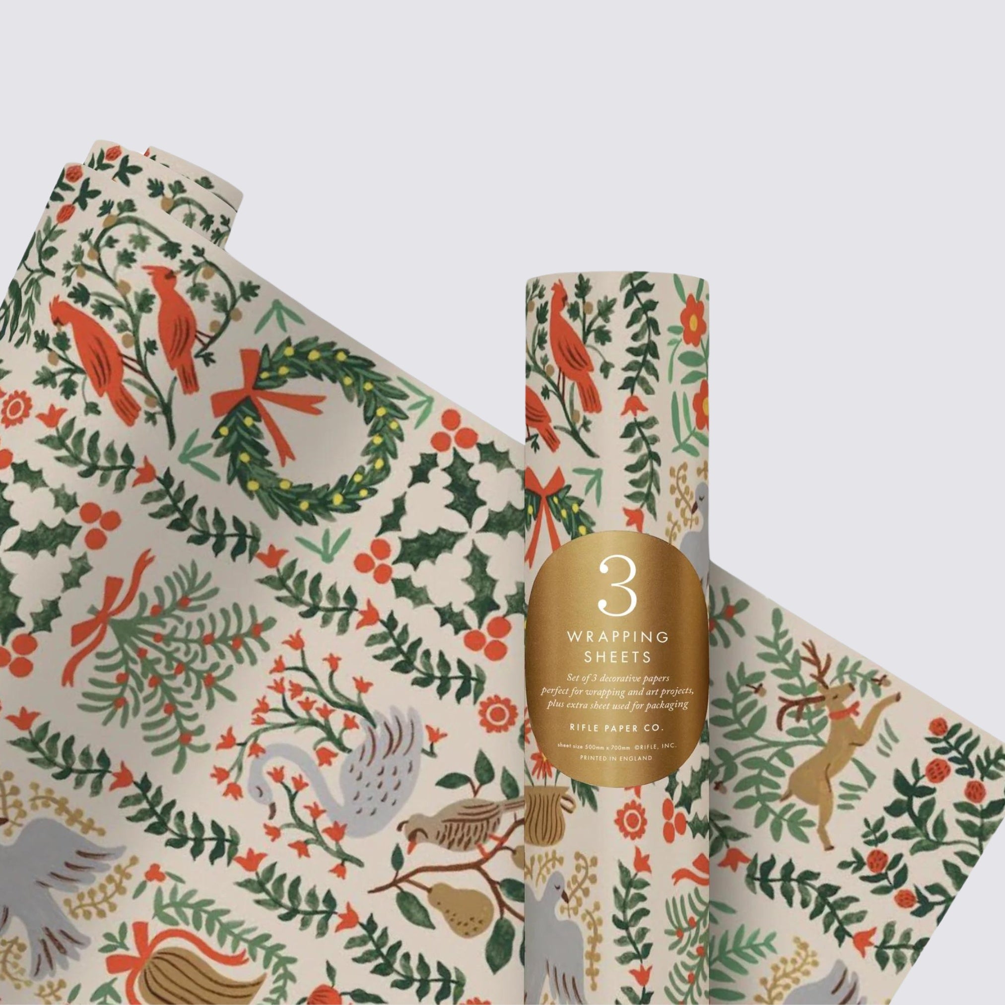 Christmas illustrated wrapping paper