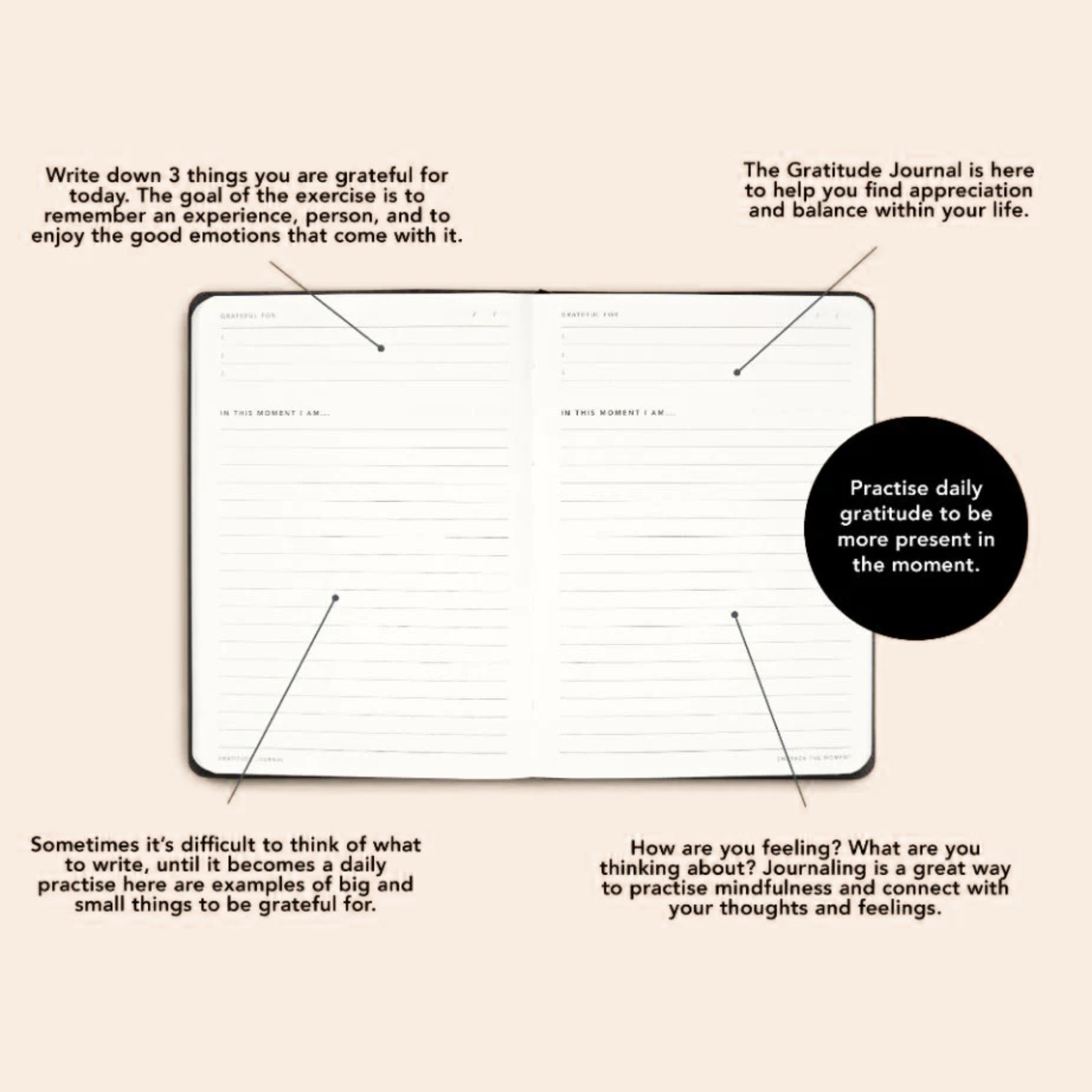 Gratitude Journal - Sand