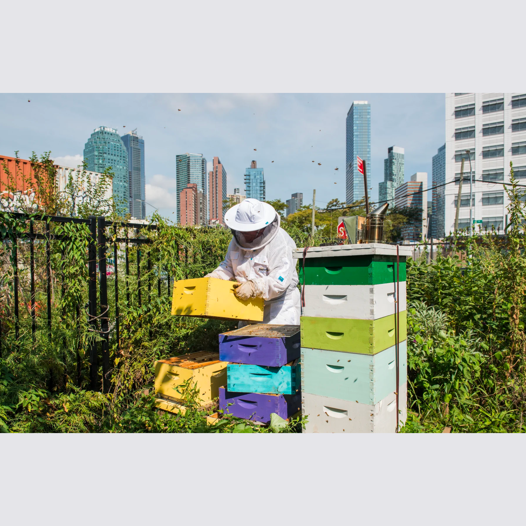 Growing Food in the city book