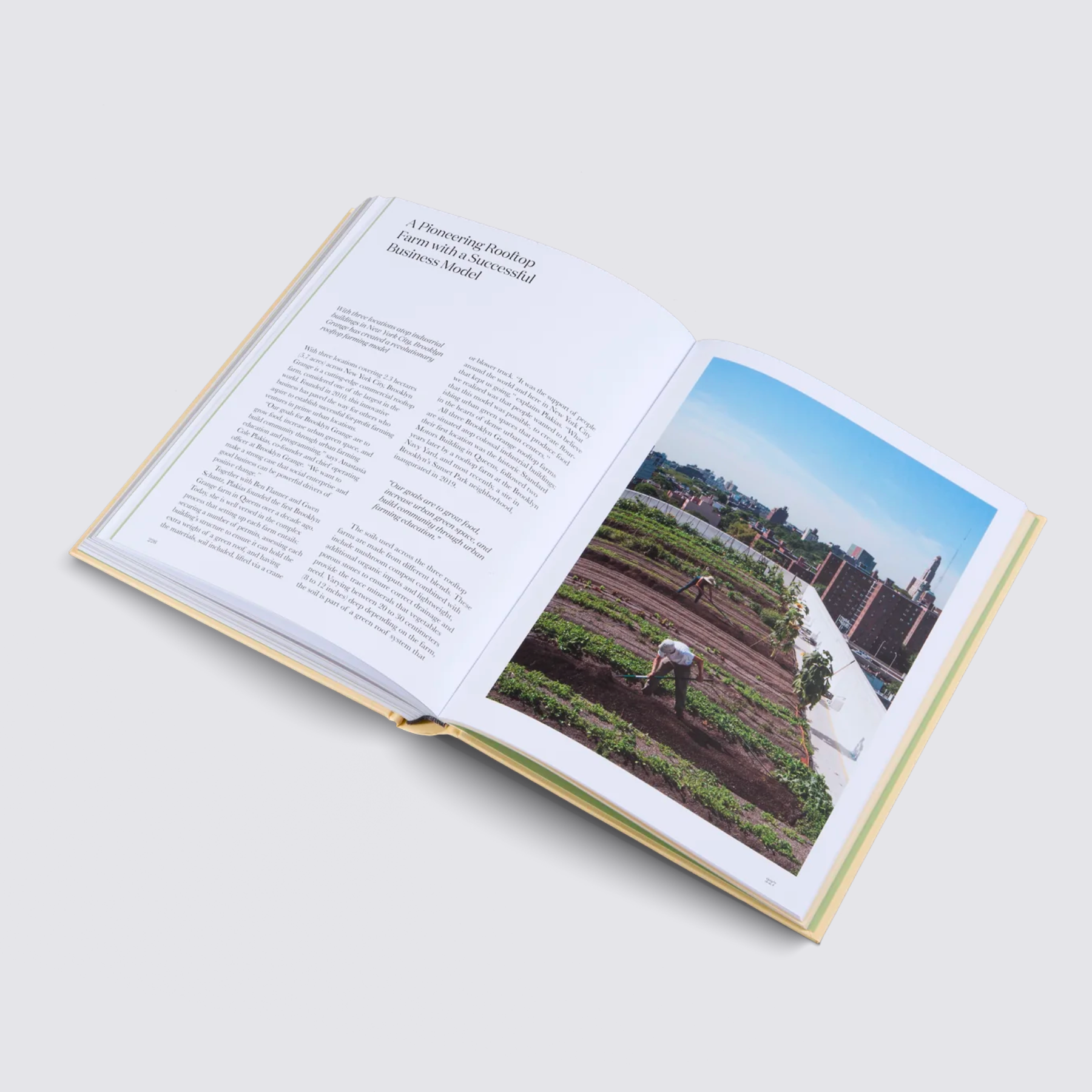 Growing food in the city book
