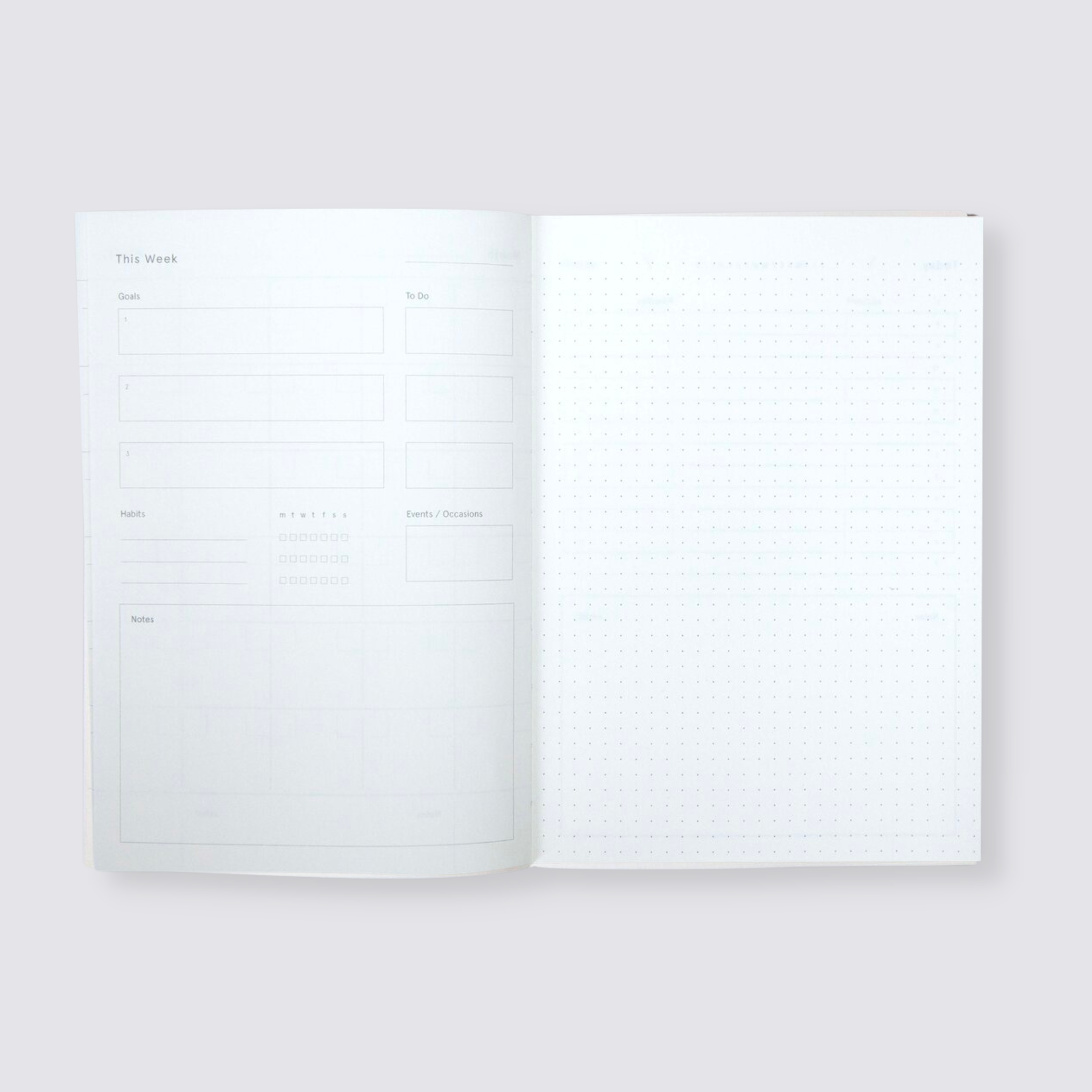 Limited Edition Layflat Planner - Green/Pink