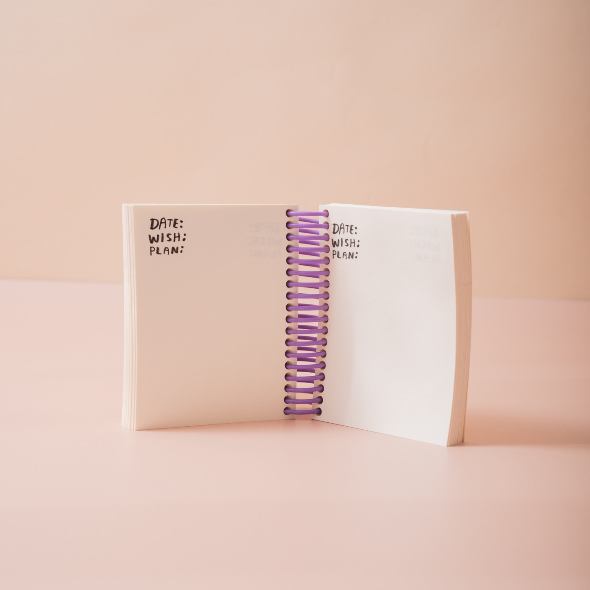 manifestation journal