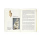 Mind and body book
