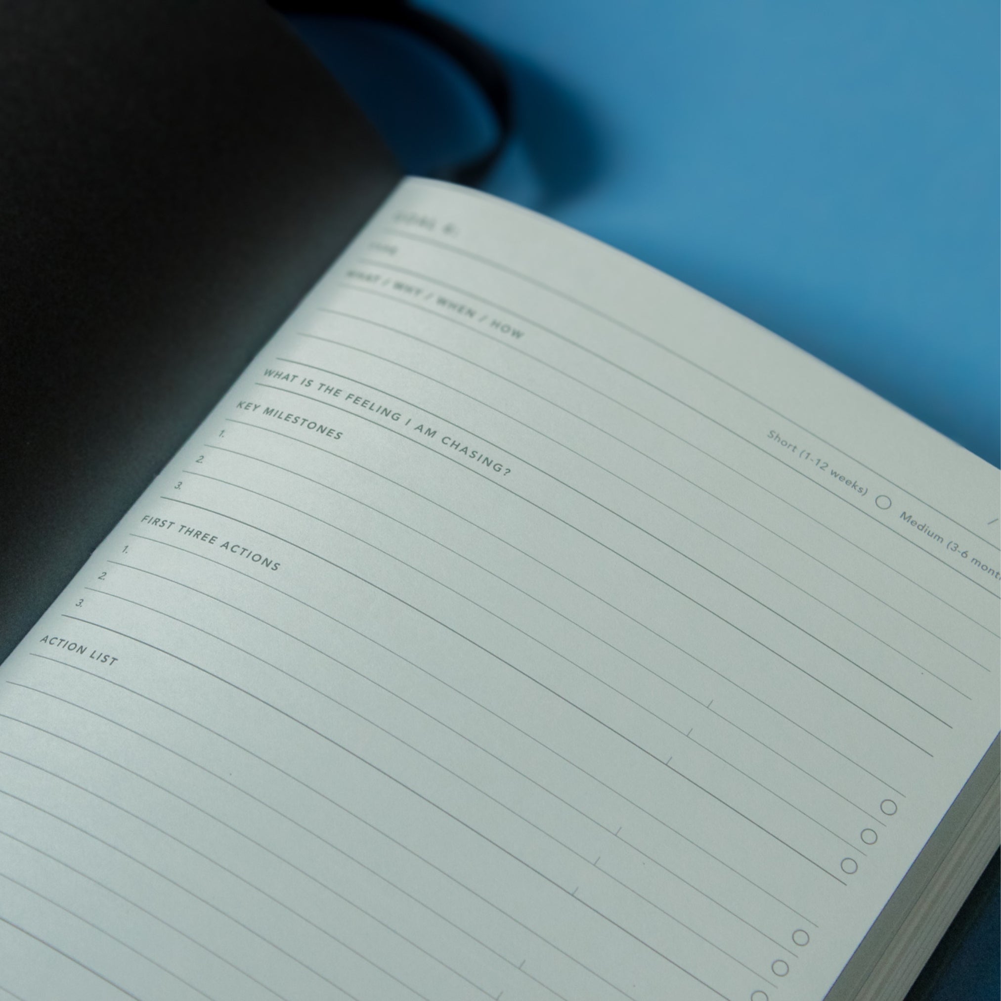 Mi Goals Diary 2025