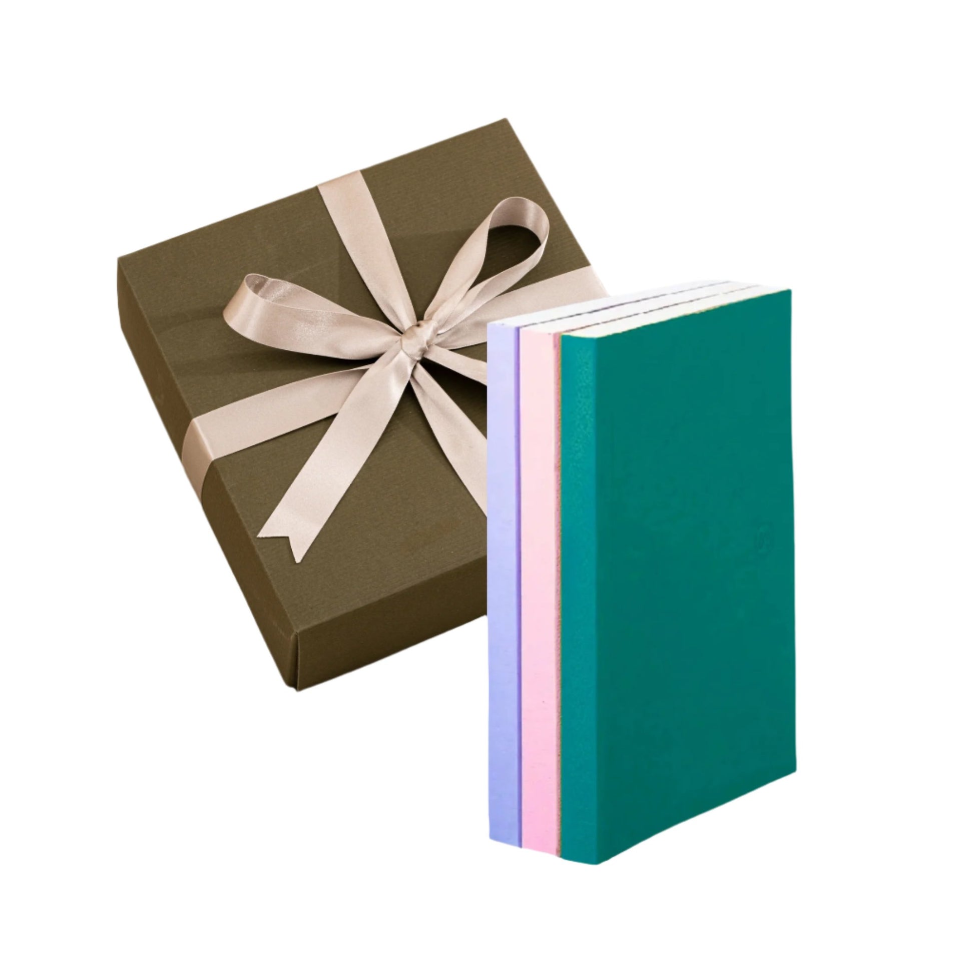 Paperback Trio Notebook Set - Cool