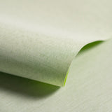 Close-up of light green fabric with a slight texture