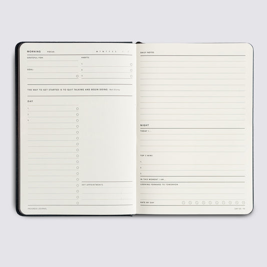 Progress Journal - Lilac