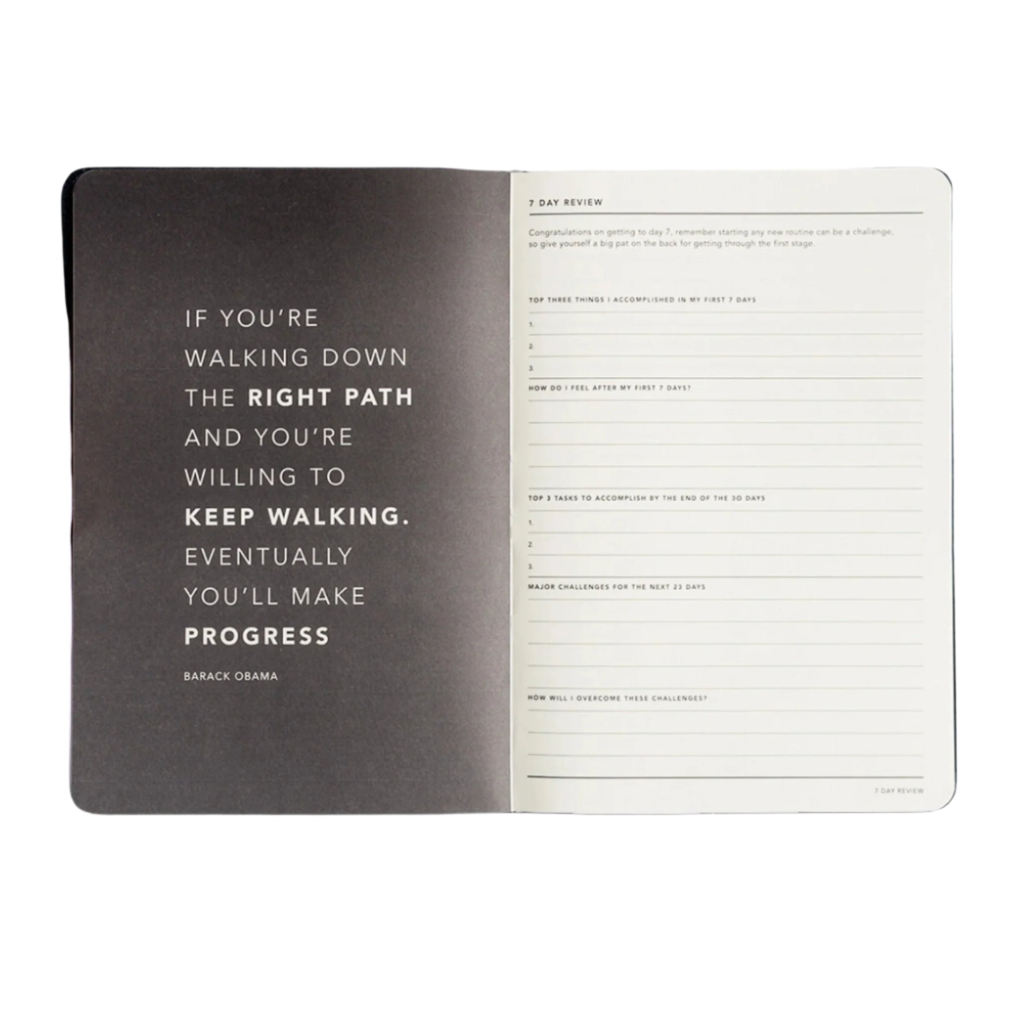 Progress Journal