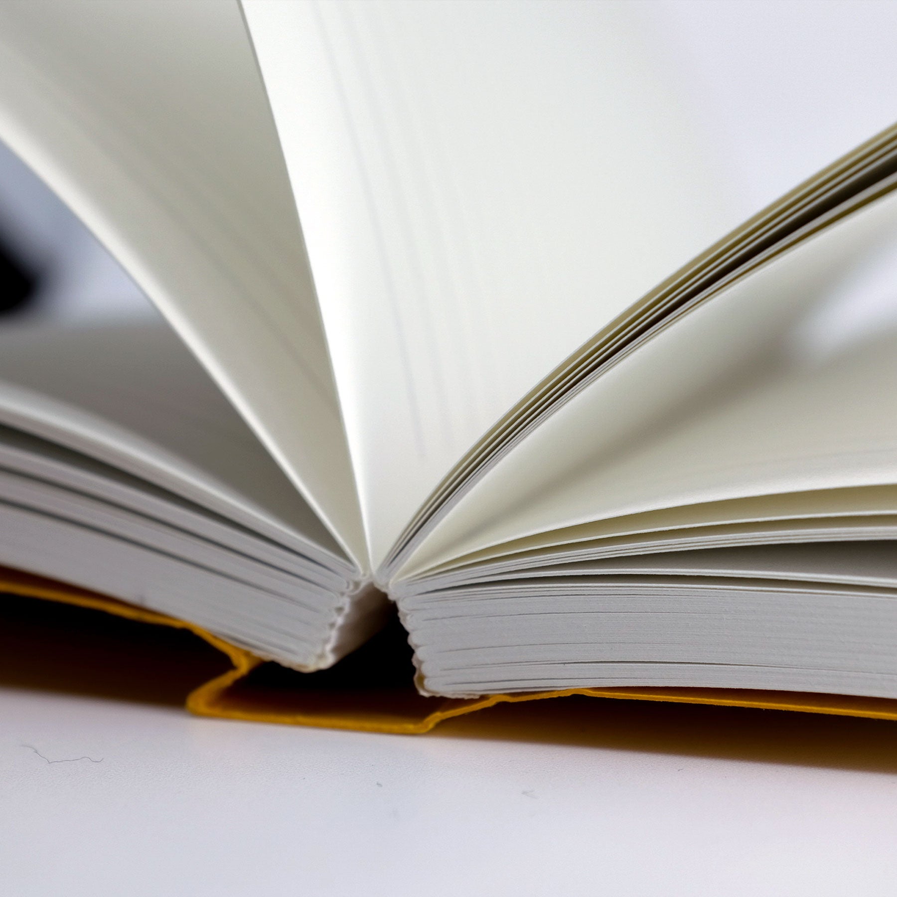 Notebook Binding