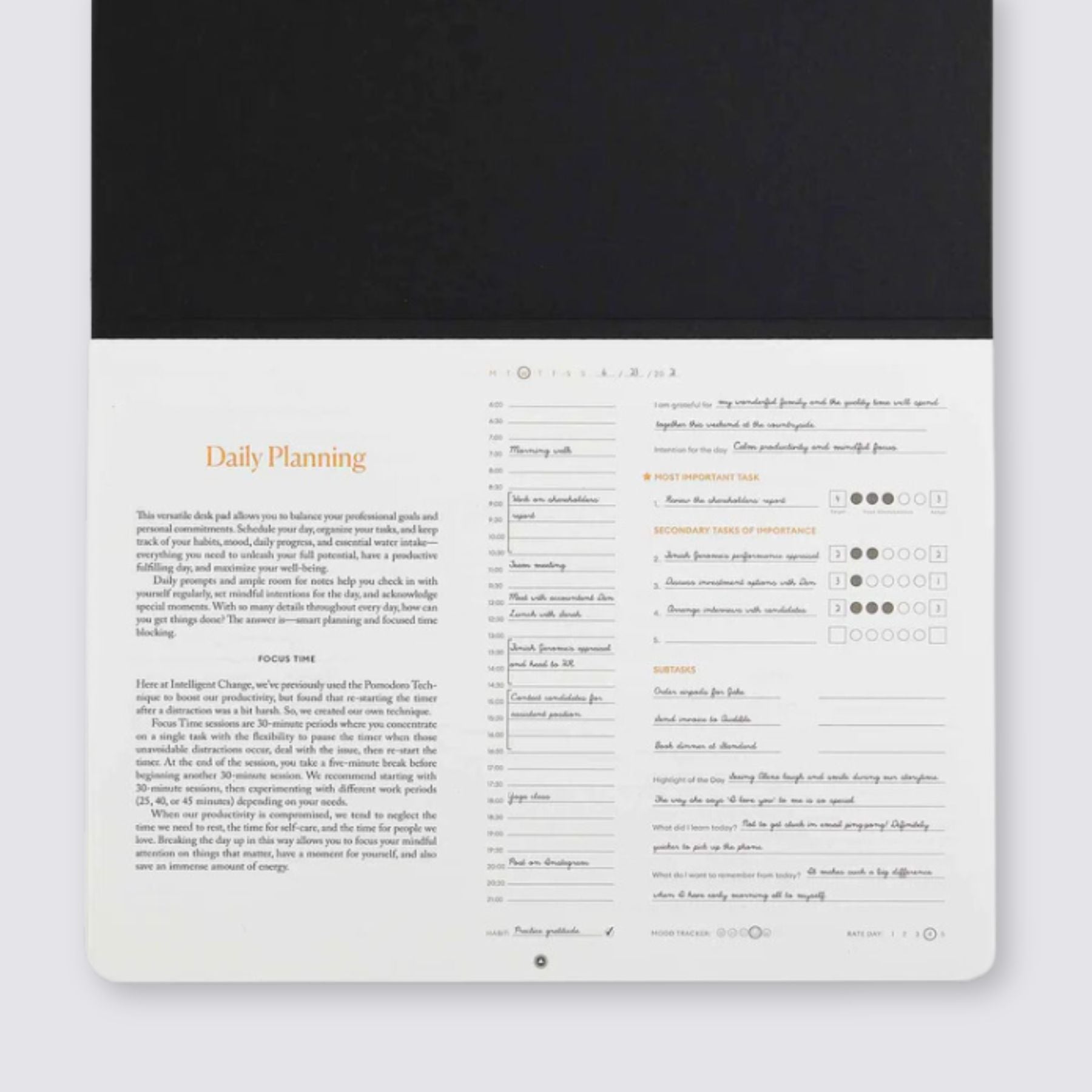Productivity Daily Desk Pad