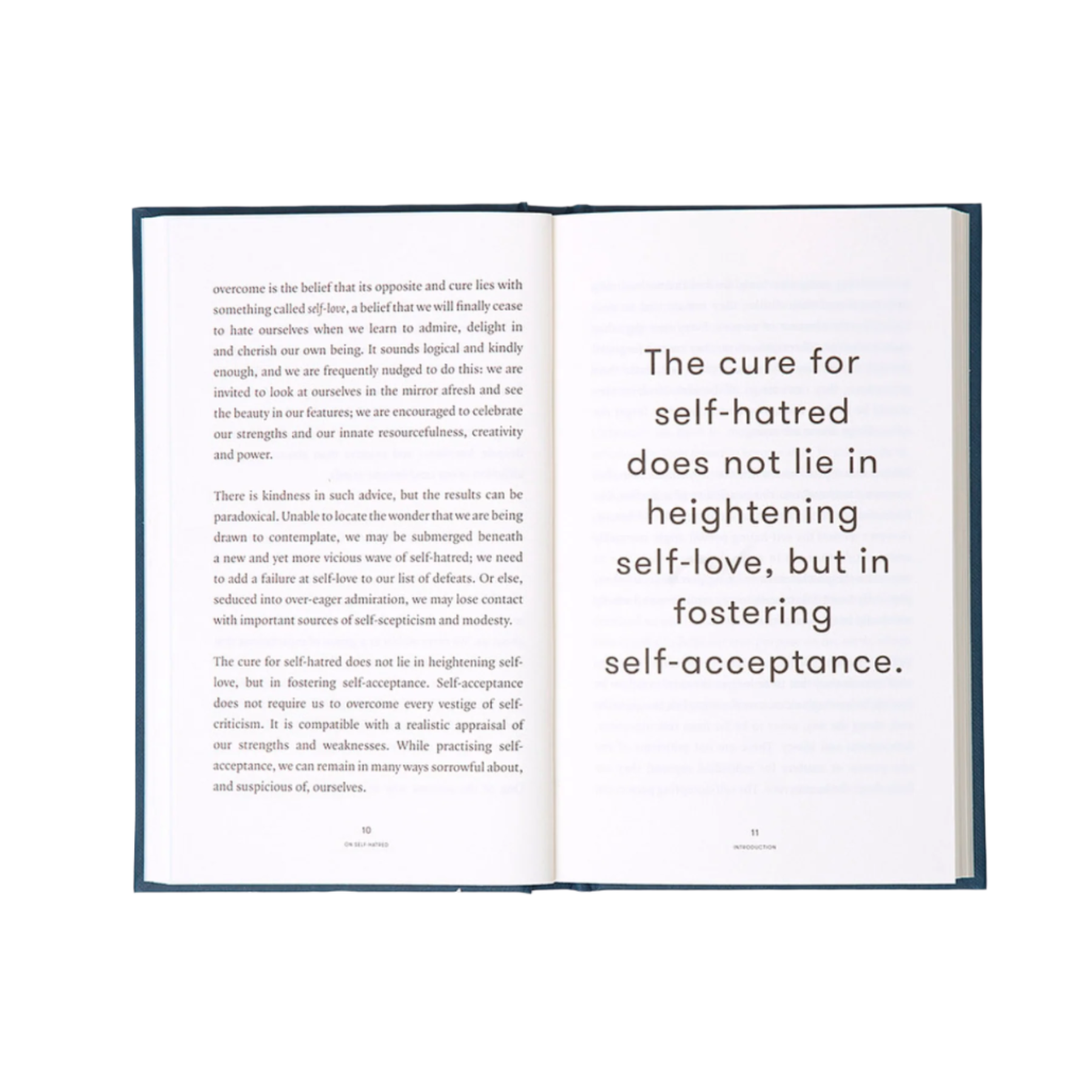 Self Hatred Book