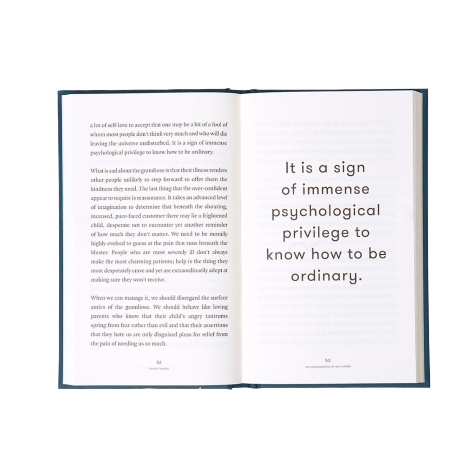 Self Hatred Book