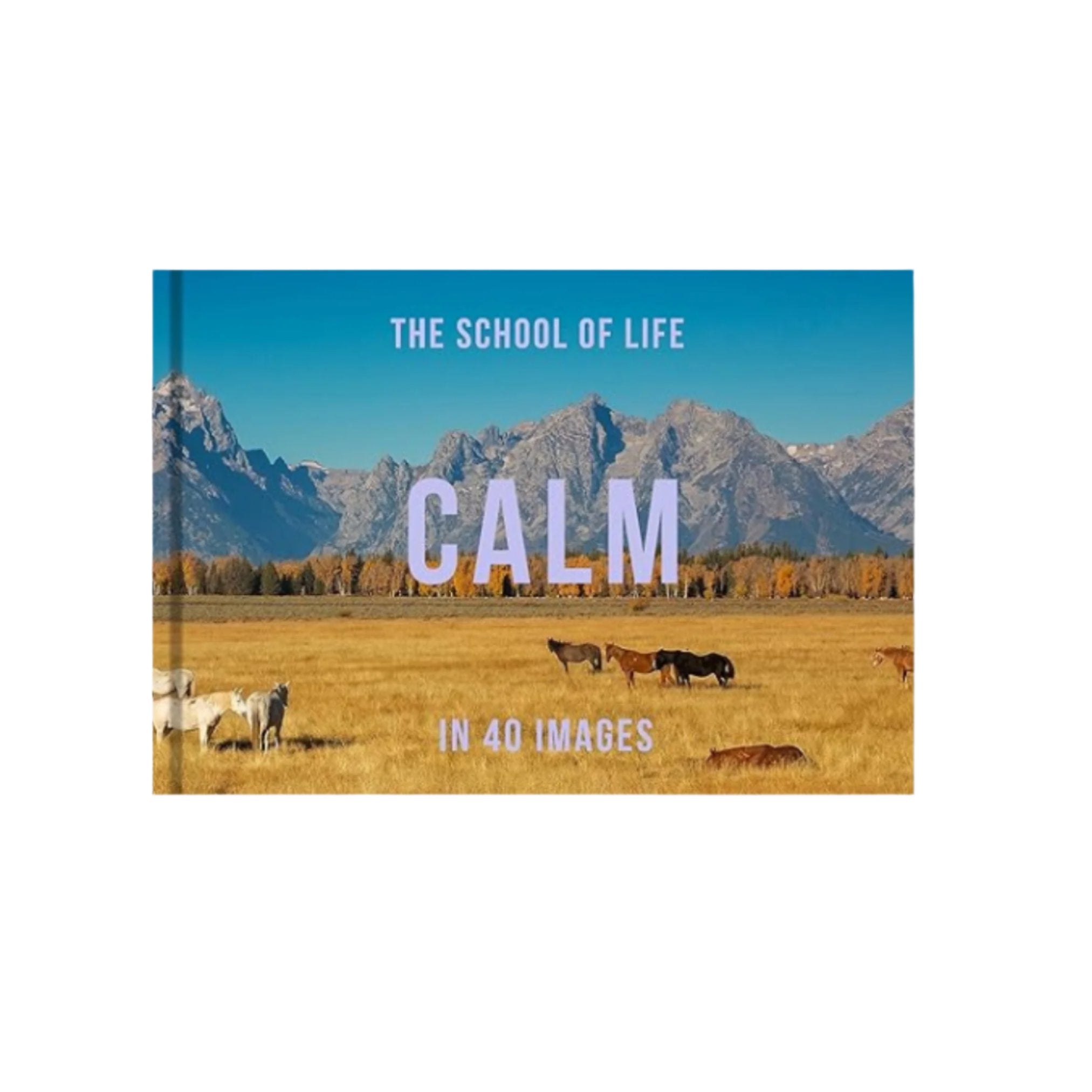 guide book to feeling calm