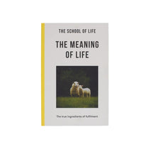 The Meaning of Life The School of Life