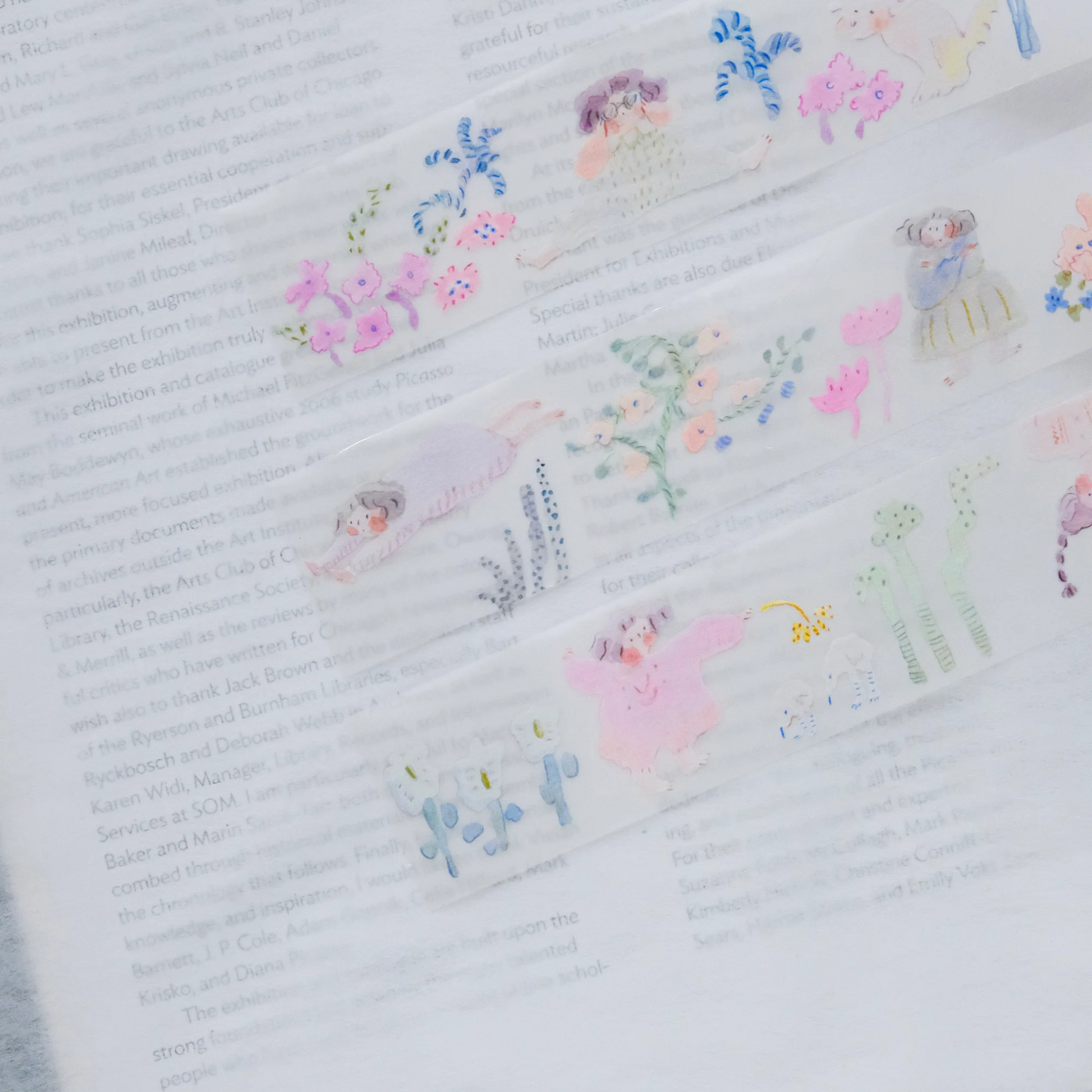Decorative  PET Tape - In Search of