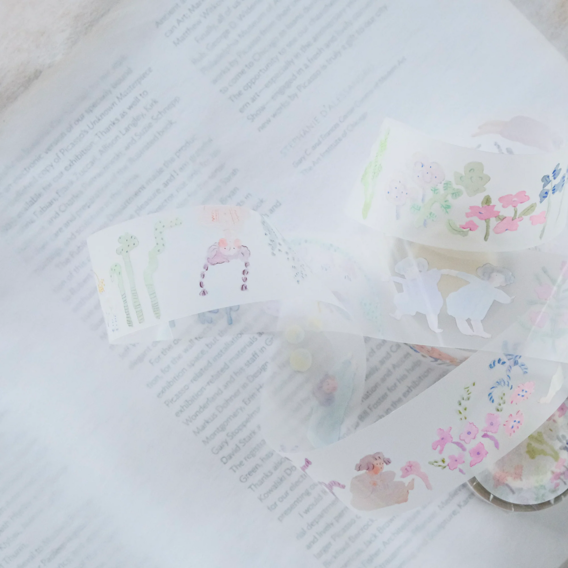 Decorative  PET Tape - In Search of