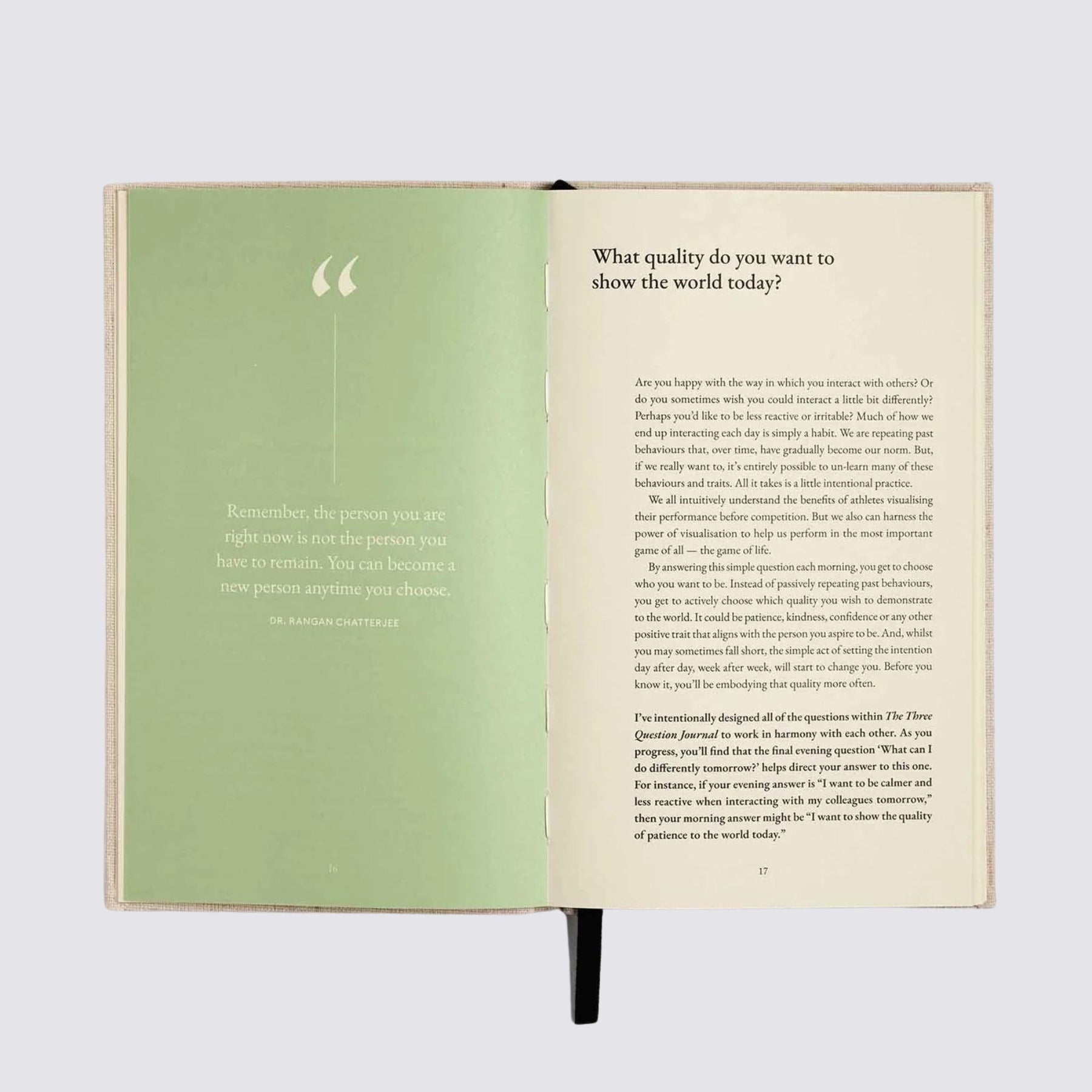 Three Question Journal