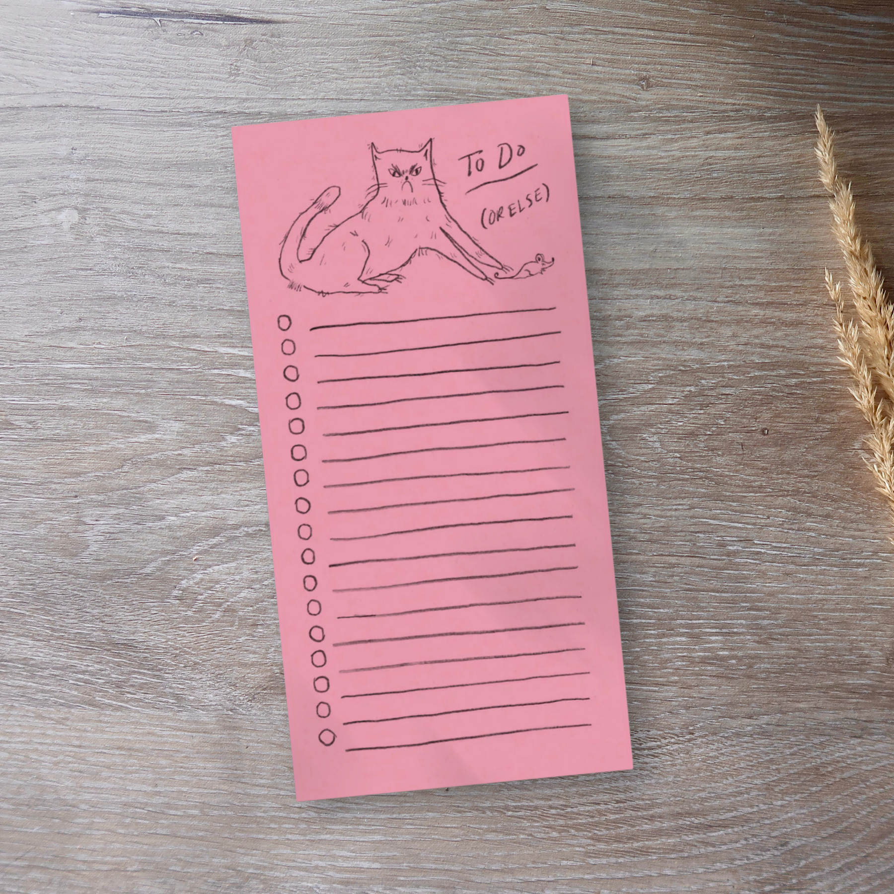 Cat To Do List