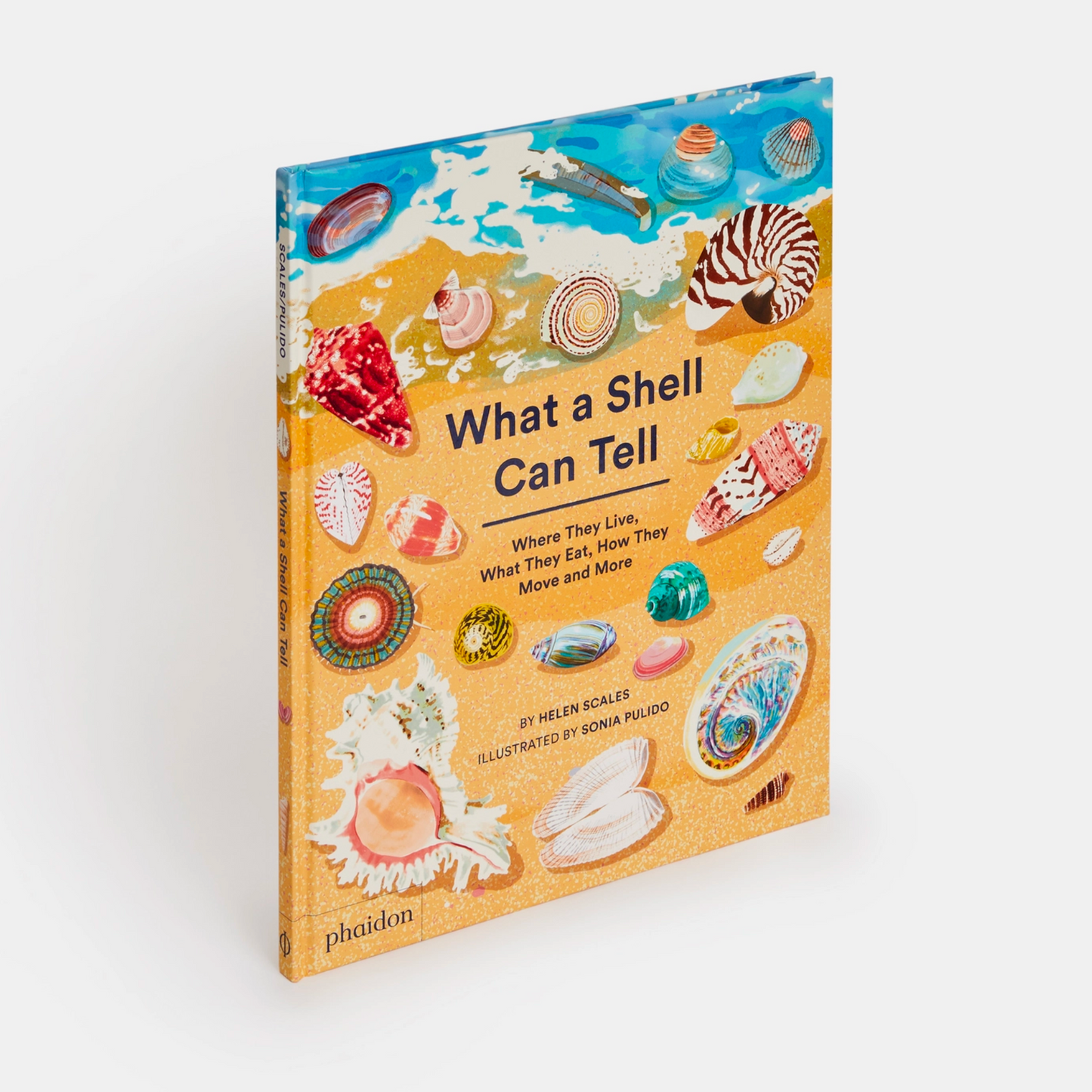 What a Shell Can Tell