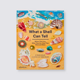 What a Shell Can Tell