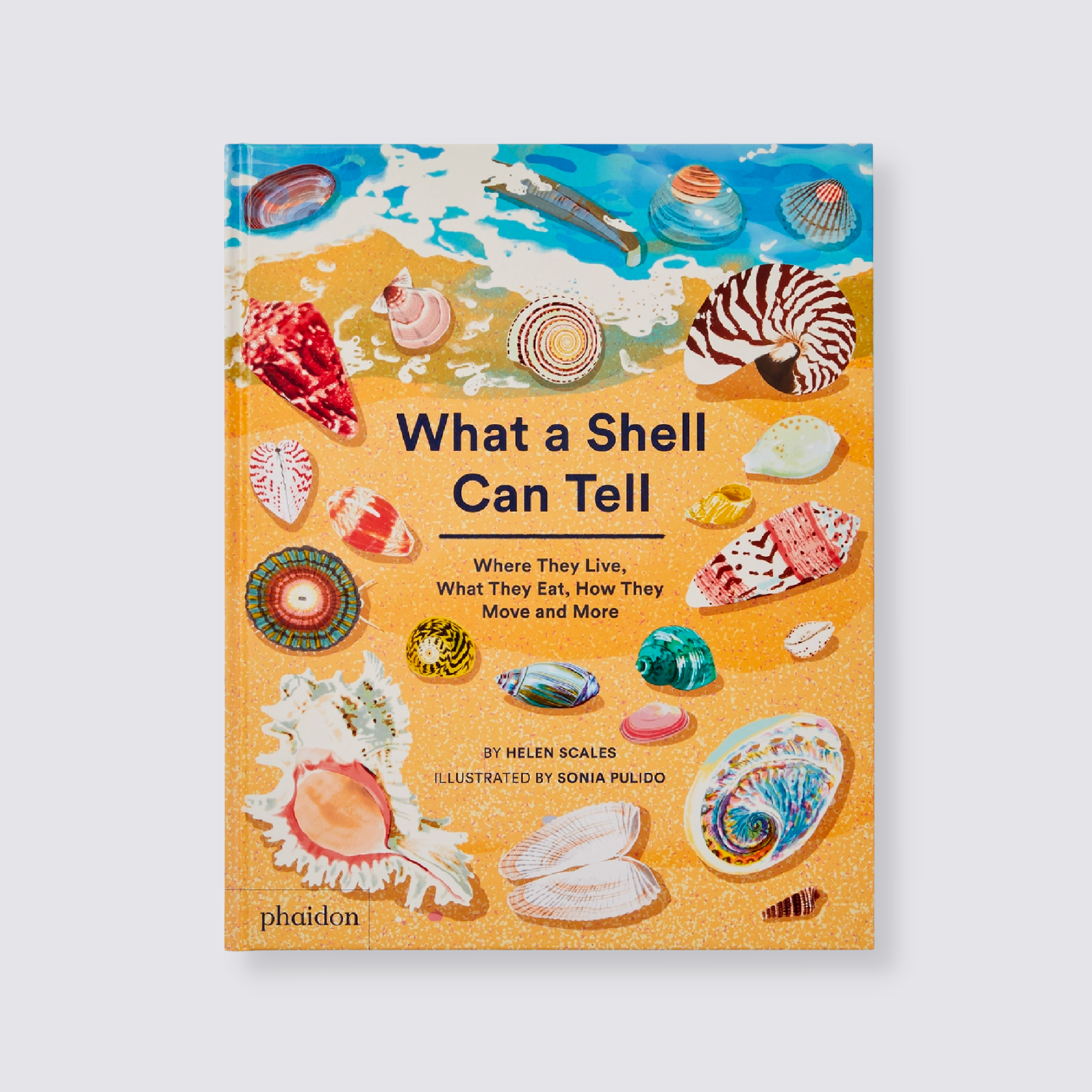 What a Shell Can Tell