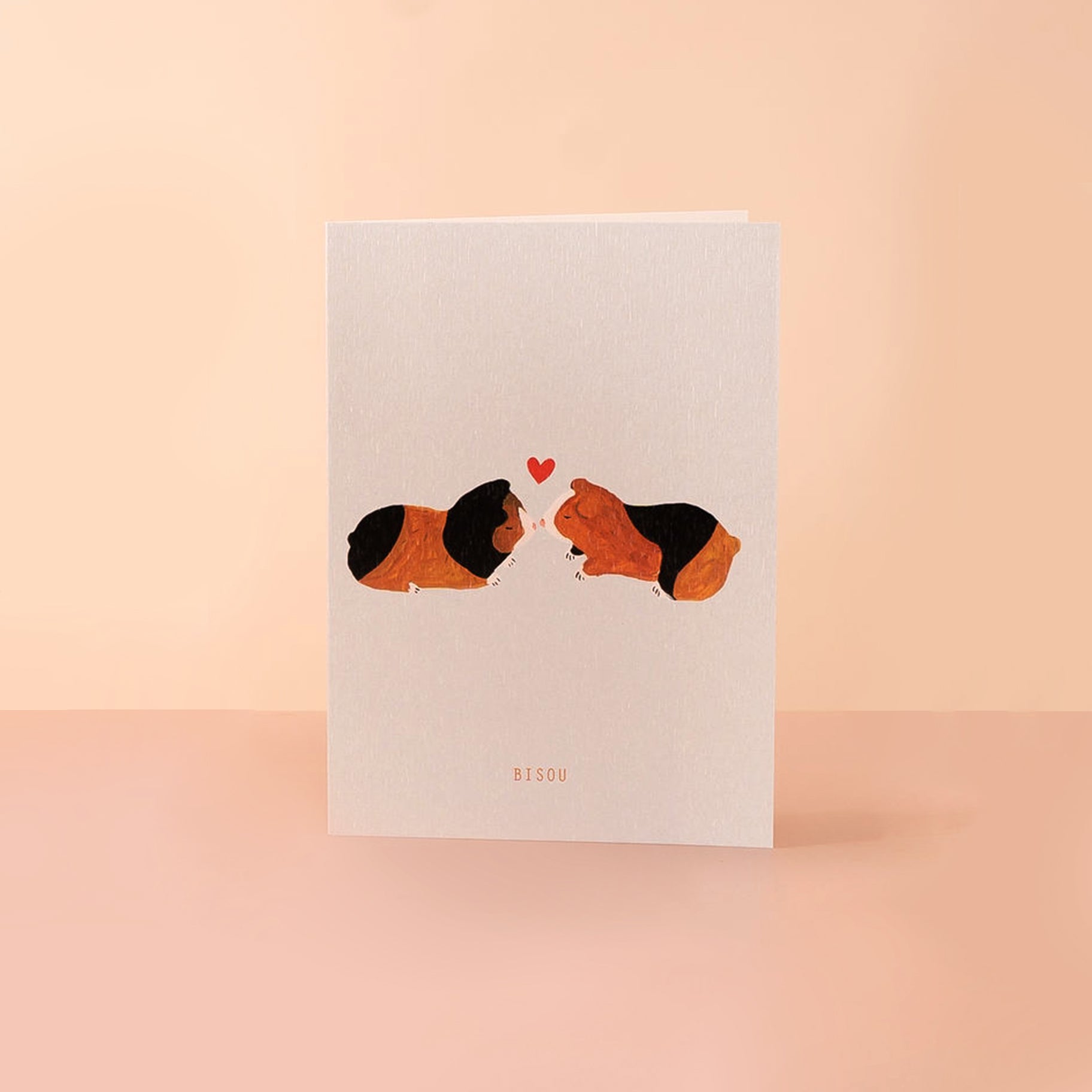 guinea pig valentines day card