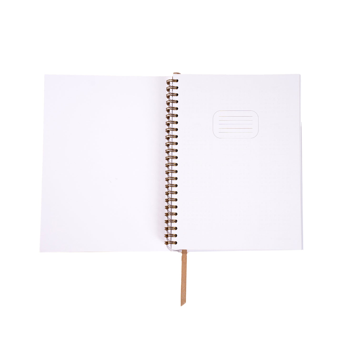 White spiral-bound notebook on a white background