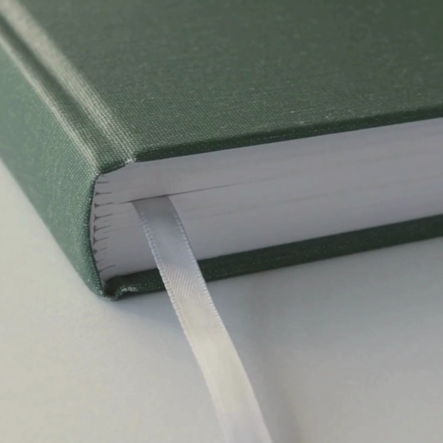 2025 Daily Planner - Fern Green