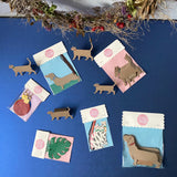 Monstera Gift Tag