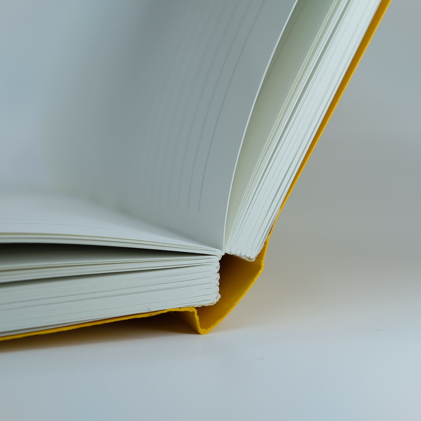Notebook detail