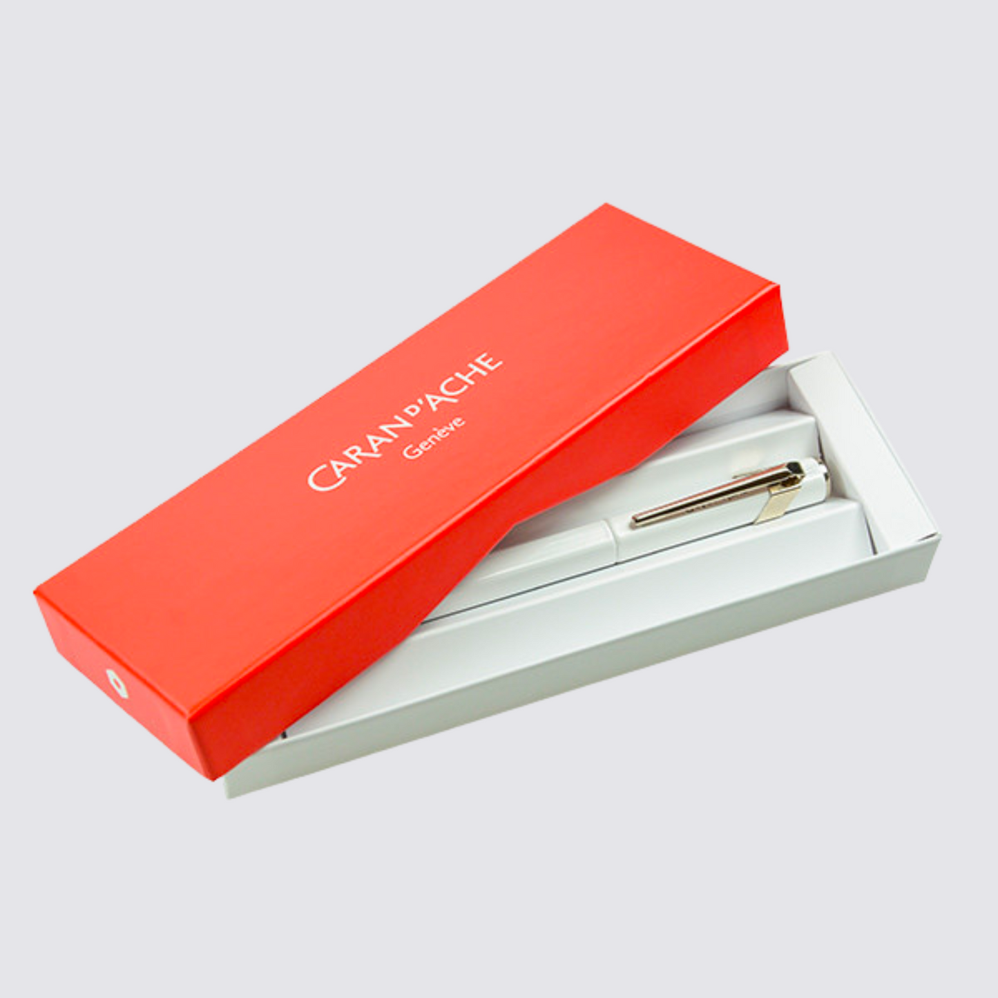 caran d'ache fountain pen