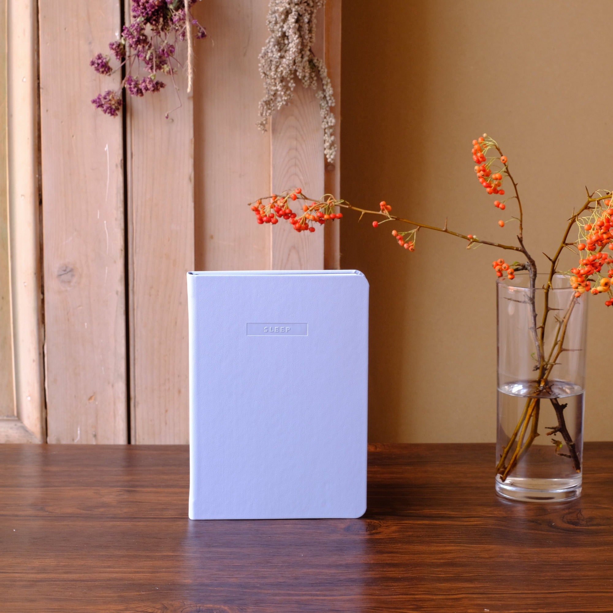 Blue Sleep Journal