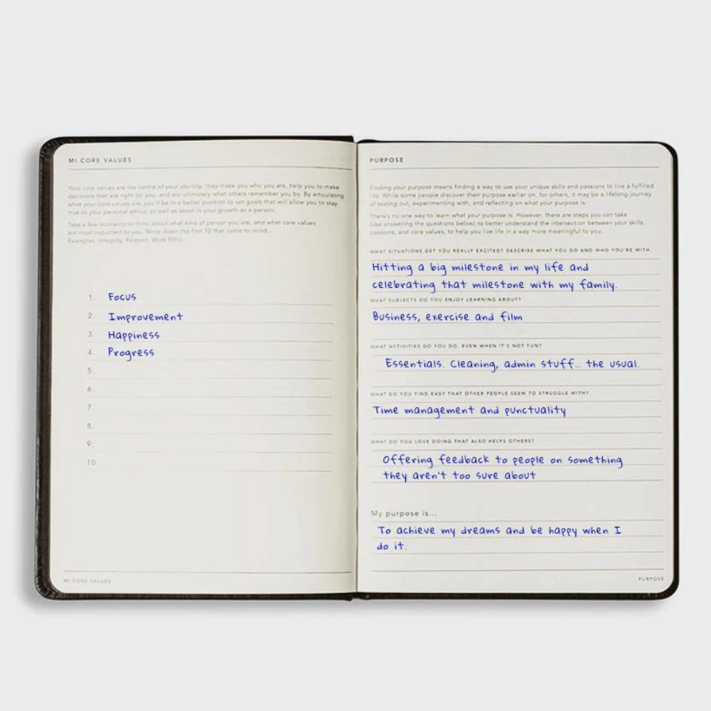 Goals Journal