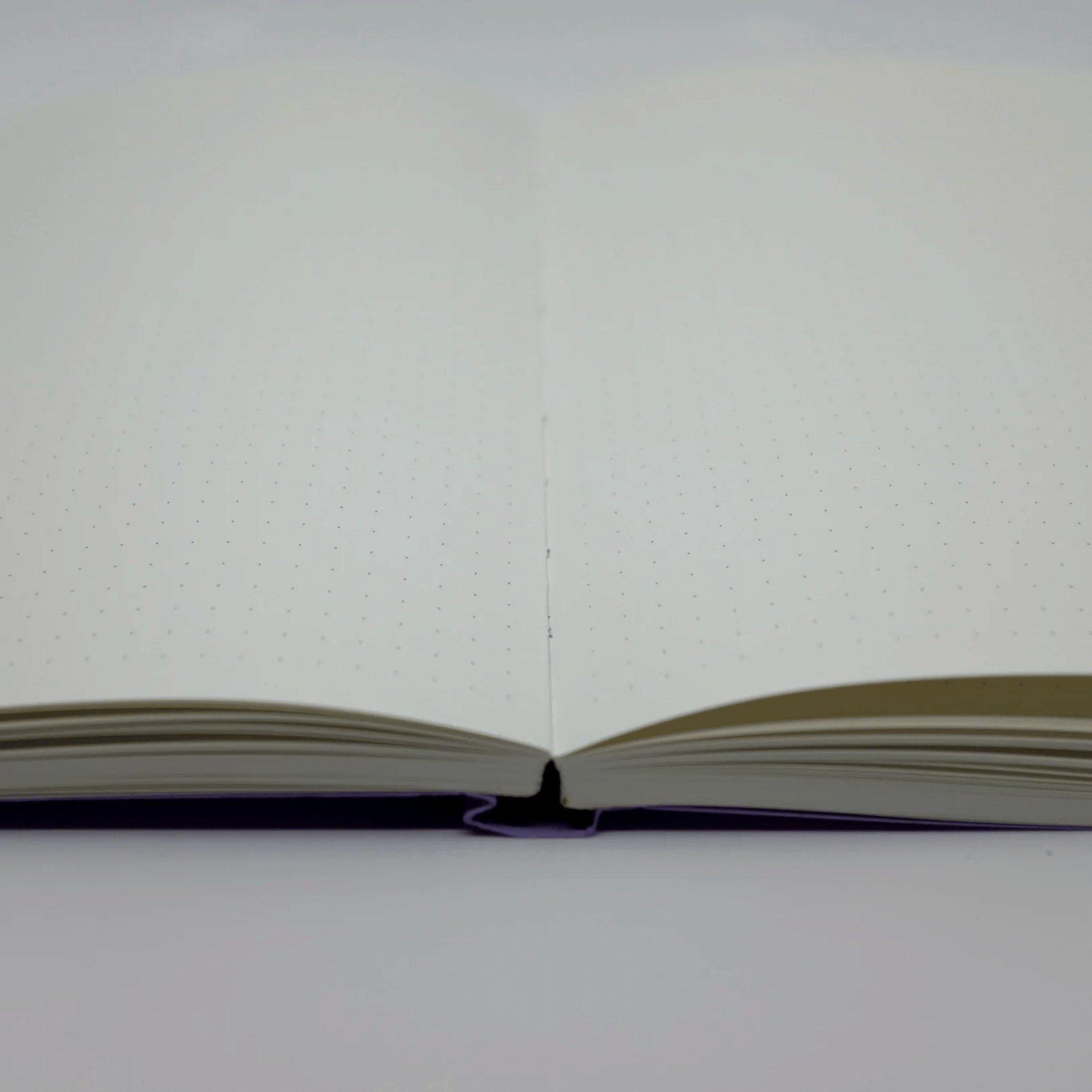 Calypso Notebook
