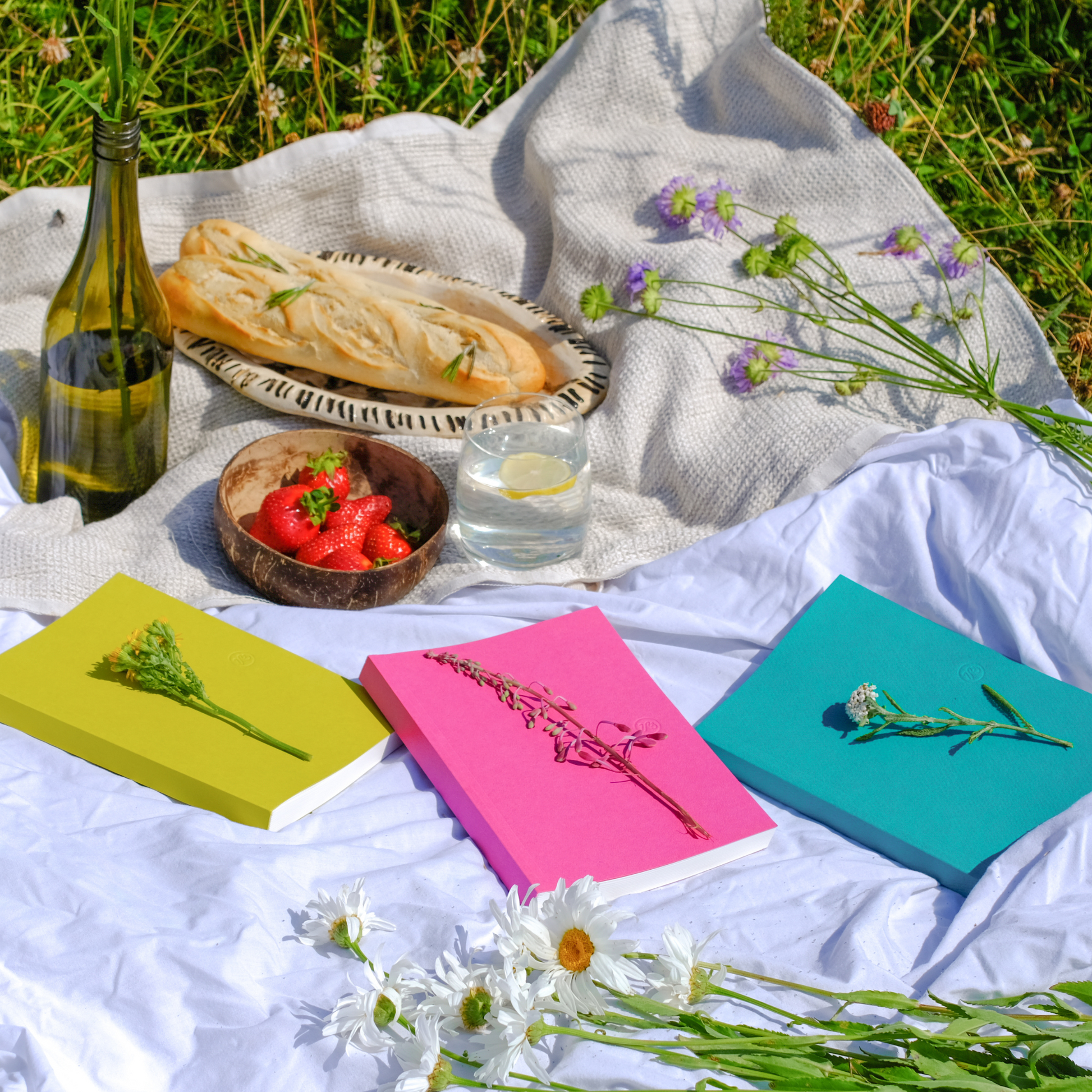Calypso Notebook