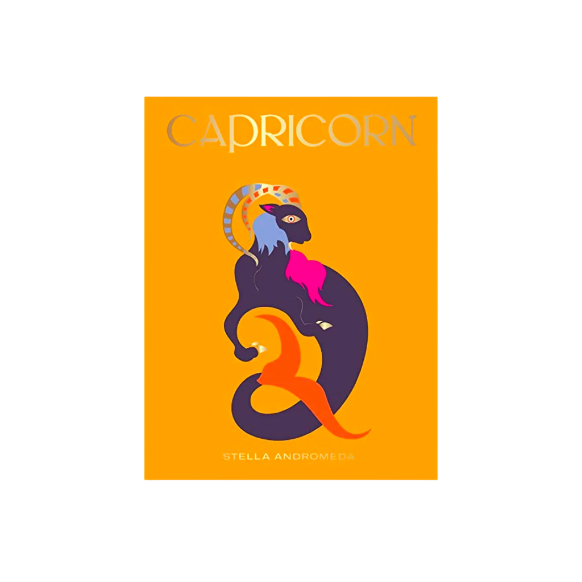 Capricorn Zodiac Book