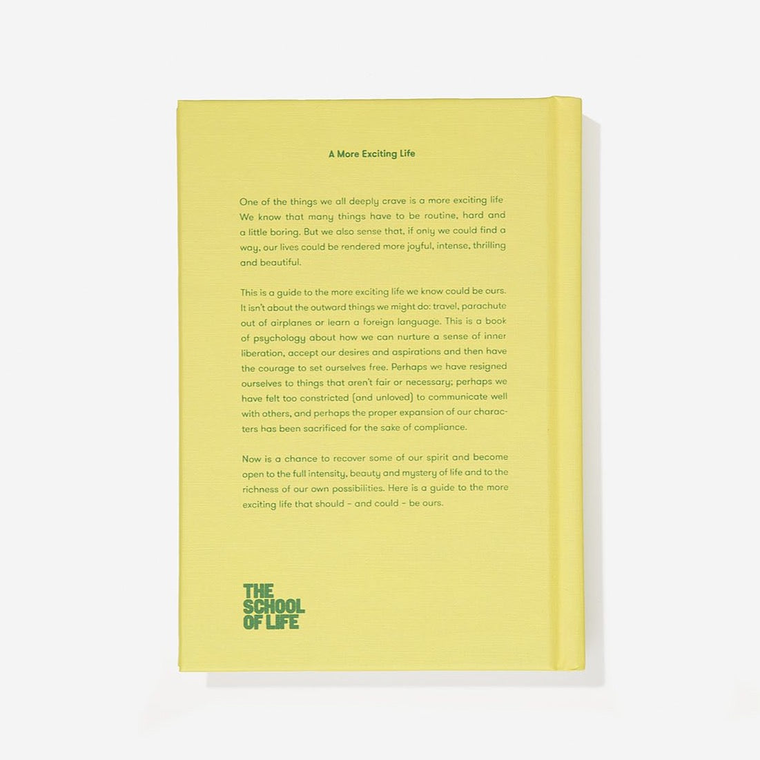 a more exciting life blurb 